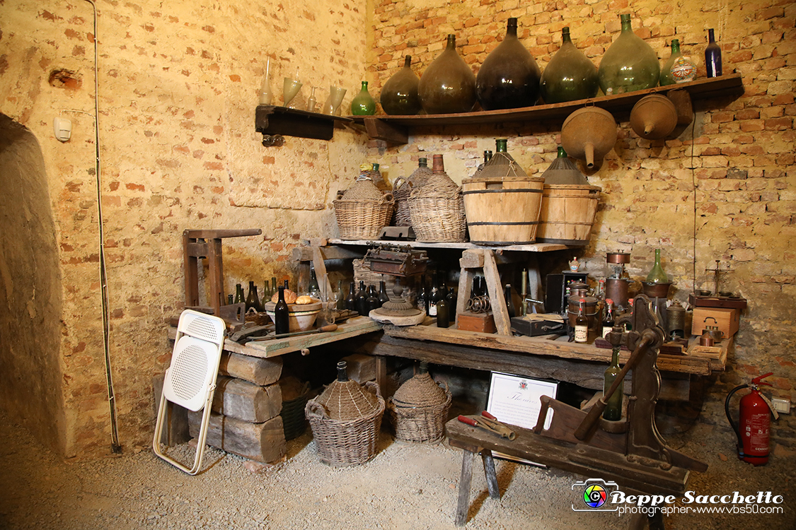 VBS_7444 - Inaugurazione Messer Tulipano 2022 Castello di Pralormo - XXII Edizione.jpg